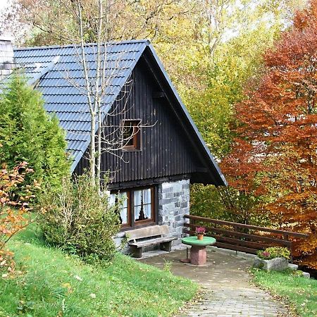 Converted Old Mill In St Georgen Inblack Forest Sankt Georgen im Schwarzwald Exteriér fotografie