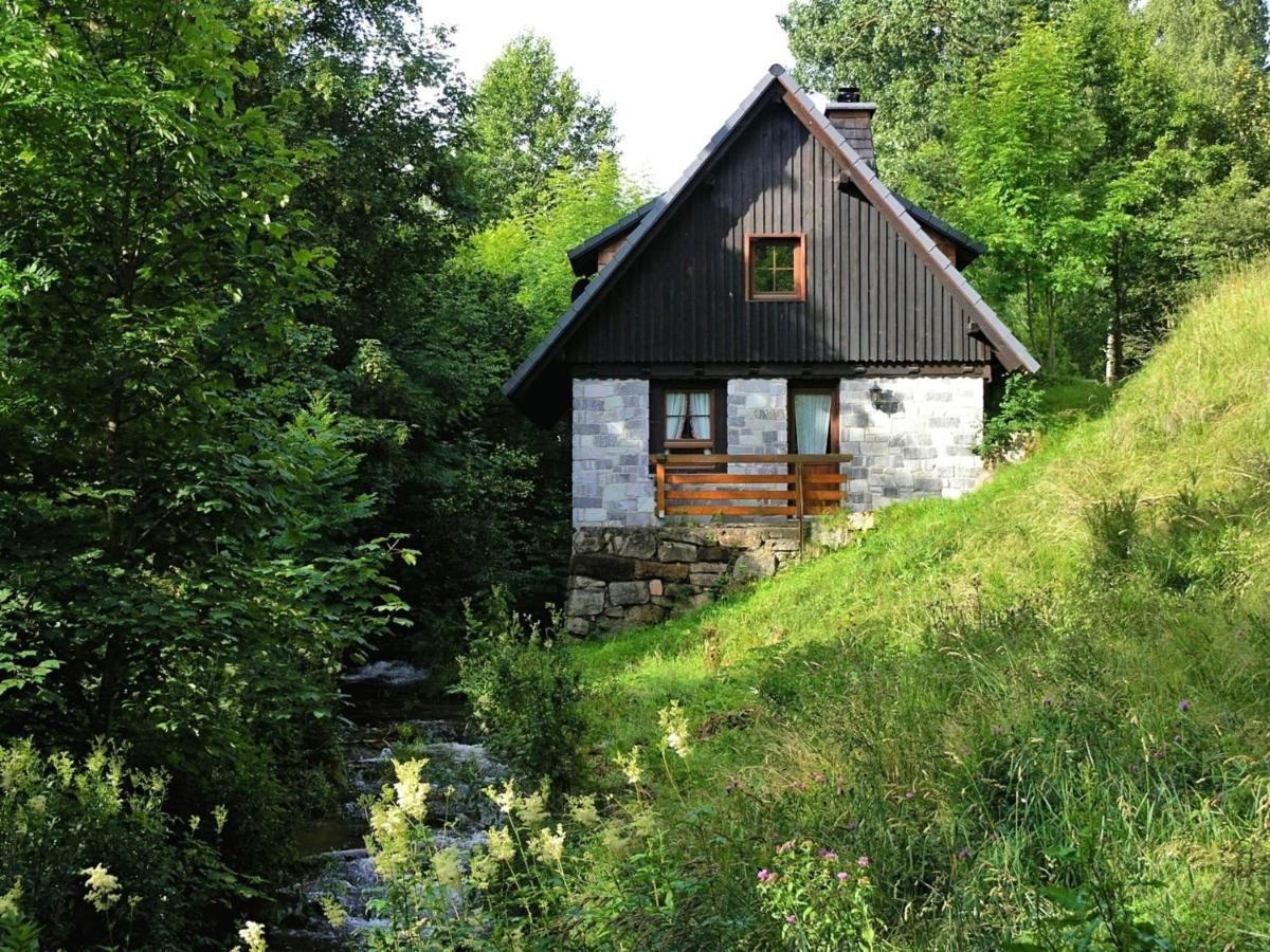 Converted Old Mill In St Georgen Inblack Forest Sankt Georgen im Schwarzwald Exteriér fotografie
