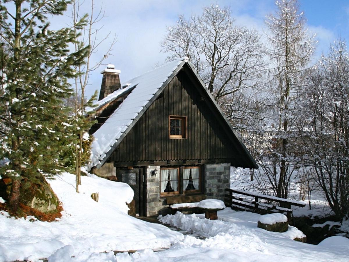 Converted Old Mill In St Georgen Inblack Forest Sankt Georgen im Schwarzwald Exteriér fotografie